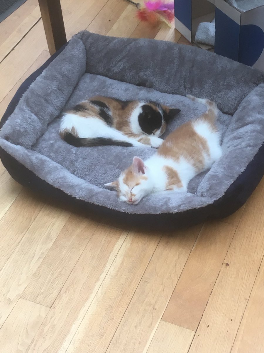 De goede Kleine tijd!