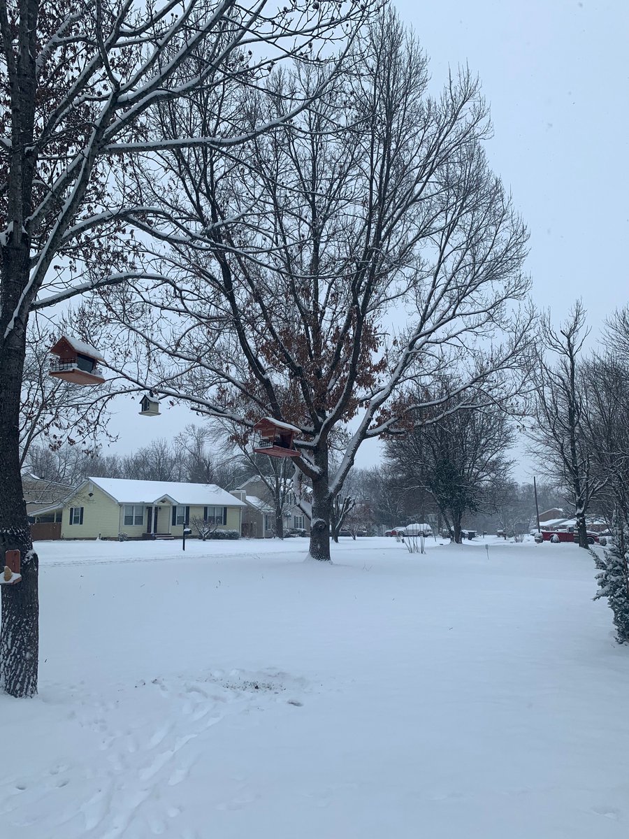 Thepasinis's tweet photo. Only made this account so we can sen things in to #tspotter @NashSevereWx 

Between 2-3” in Franklin! (Over 3” Measured away from obstructions on hard, flat table and just over 2” measured on driveway. https://t.co/SZEn2hvFKU