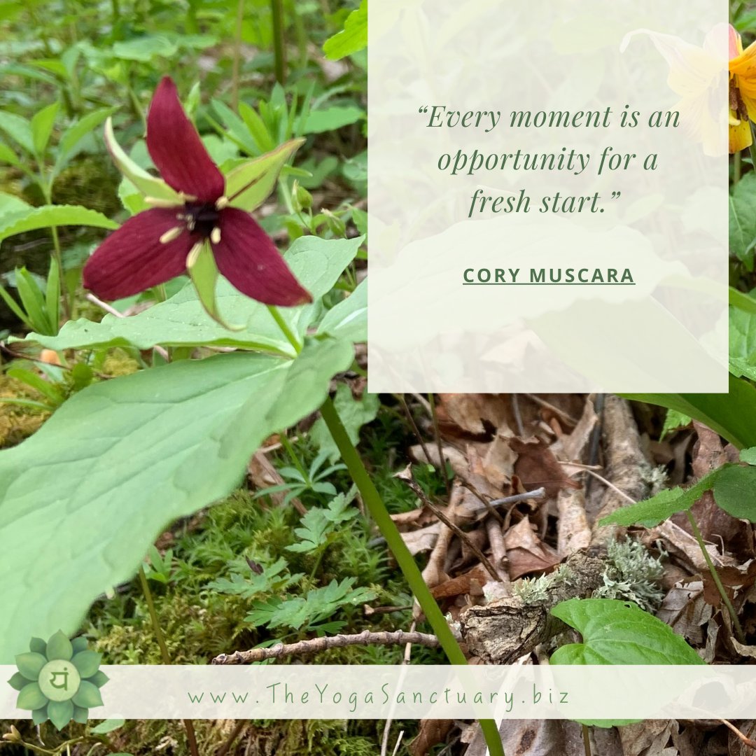 Have you read our latest newsletter?
You can check it out by clicking here: conta.cc/3qHELpb