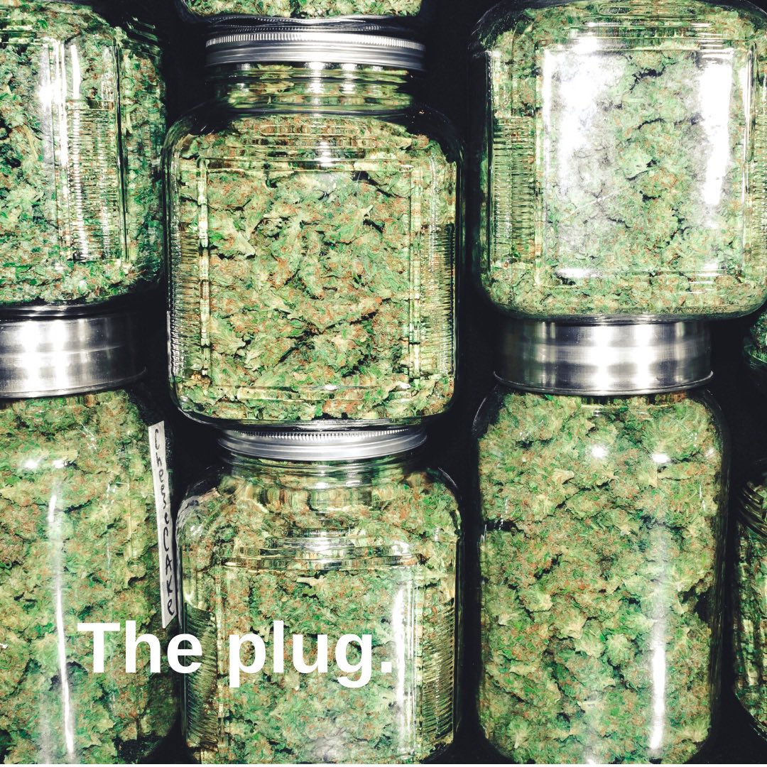ThePlug_Hydro's tweet photo. Let your work, work from home. 
🌱
Grow your own. 
https://t.co/rWDCDE2w66 https://t.co/3svyrHchOA