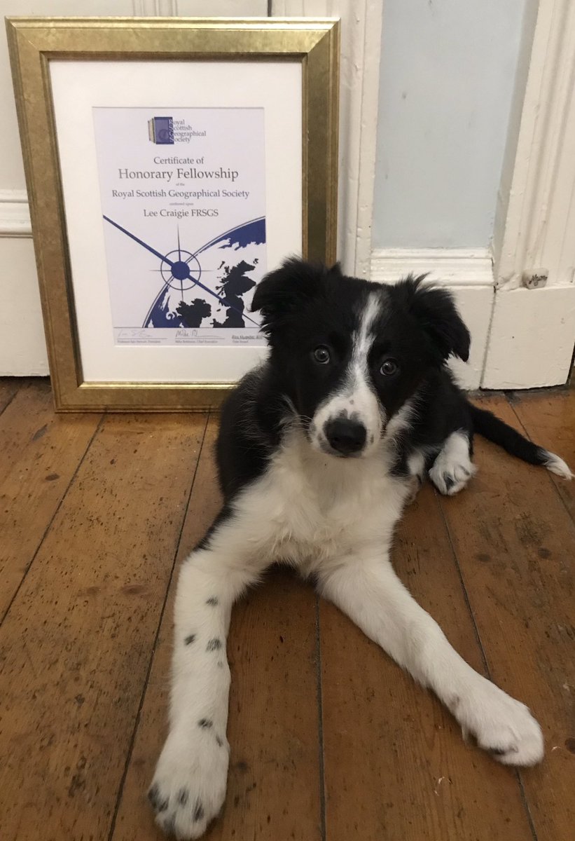 lee craigie tweet media