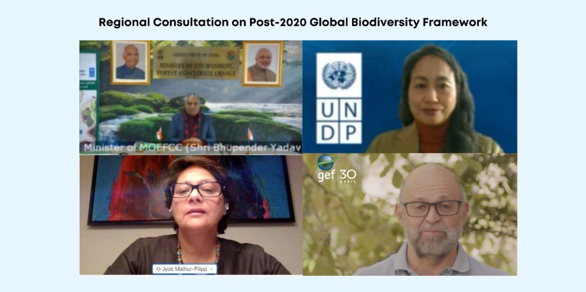 #Biodiversity🌱🐝 is imp to protect climate, economy & community rights👨🏽‍🌾👩🏽‍🌾

Delighted to speak at #Post2020 Global🌏 #Biodiversity Framework Consultation w/ Minister @byadavbjp, @cmrodrigueze, @MathurFilipp & @BasilevanHavre organized by @moefcc, @UNDP_India & #CampaignForNature