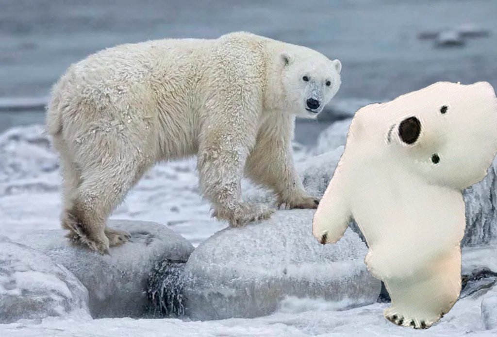 Por ahí viene la osa polar que te gusta, actúa normal.