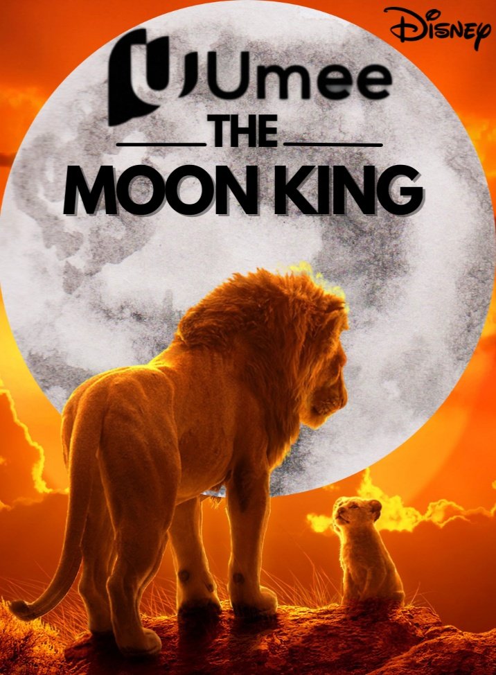 Michael (Profesional ICO Gambler ) tweet media