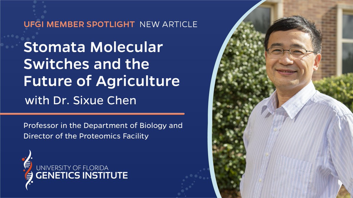 UFGenetics's tweet photo. New #UFGI spotlight article: Dr. Sixue Chen
Combatting the effects of climate change on food security, the Chen Lab is researching how certain plants can flip molecular switches and actively adapt to changing environments.
🌱 Explore his research: https://t.co/lgubpB9uCe https://t.co/XF6AIdRpCZ