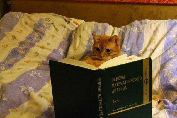 sofikus03's tweet image. Who’s in this photo? ME!