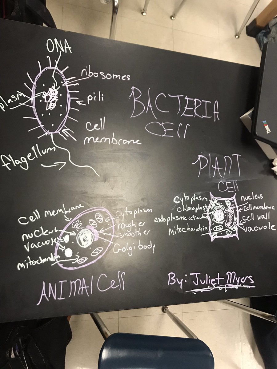 Ashley Gresko tweet media