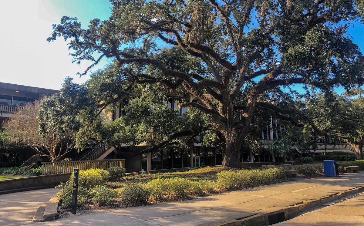 LSUStudentUnion's tweet photo. “It’s funny how day by day nothing changes… but when you look back, everything is different.” -C.S. Lewis 🎈
~~Happy 58th Birthday to the LSU Student Union~~🥳 how fitting to commemorate the growth of LSU’s living room on a Throwback Thursday🪄
#TBT #LSUstudentunion https://t.co/tC6cdaumM2