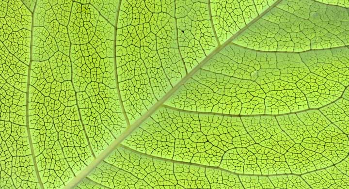 Clotilde Waltz tweet media