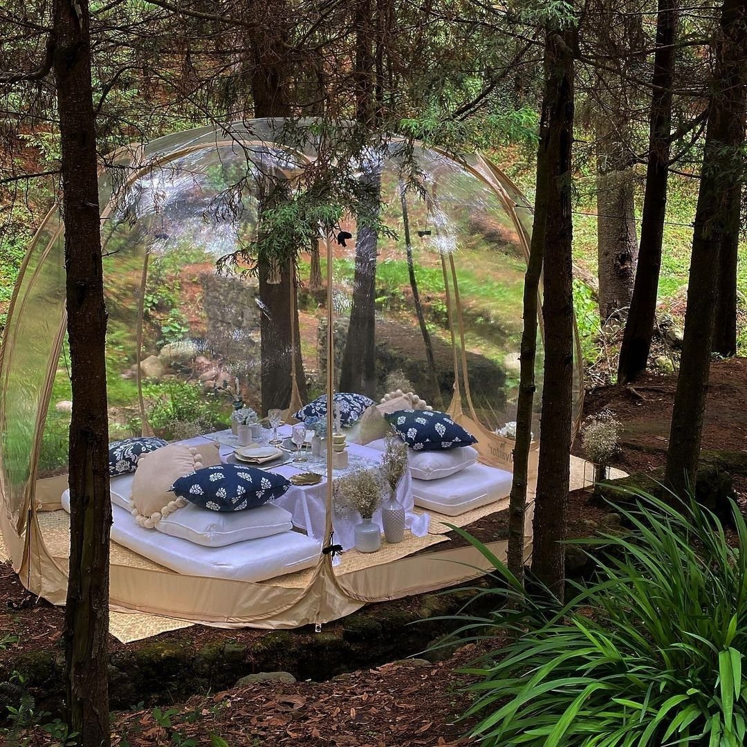 MarcoBeteta's tweet photo. No es un cuento de hadas, se trata de una experiencia en el bosque llamada #BubblePicnic. 🏕️🧺🍇 ¿Se te antoja?
👉🏻 https://t.co/1h6tXZ2aoT
#picnic #Bosque https://t.co/qzowRxTkT4