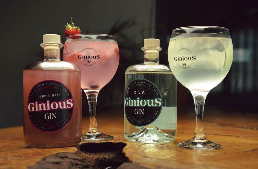 therealpunchu's tweet photo. As you prepare for #ANC110 #ANC110Limpopo please don’t forget to get yourself a bottle of #GiniousGin. The cannabis infused gin produced locally.
0716754492 please RT https://t.co/MPkPCrFsLd