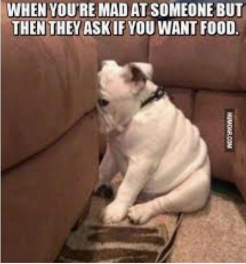 Arivmarketplace.com get what you want when you want
#tbt #ThrowbackThursday #love  #food #yummy #fashion #styles  #NewYork #WashingtonDC #Florida #Maryland #Virginia #NYC #NYCFC #snacktime #Crypto #clothing #branding #NewYearResolution #NYE #Trending #TRENDZ #funniesttweets