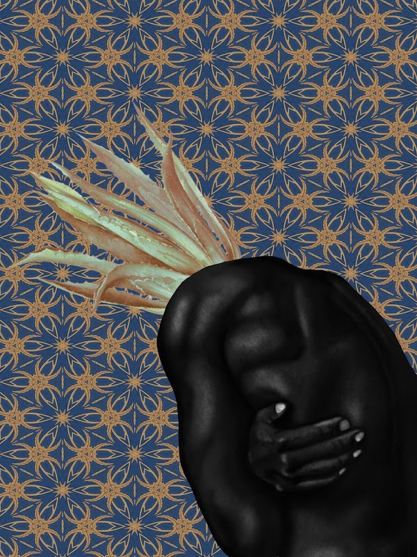 House of Rare NFTs (houseof_rare) Twitter