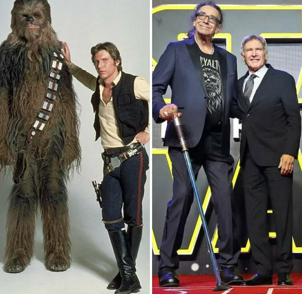 Harrison Ford (Han Solo) e Peter Mayhew (Chewbacca). https://t.co/uFO3JcXdE0 https://t.co/ymYslCHeWf