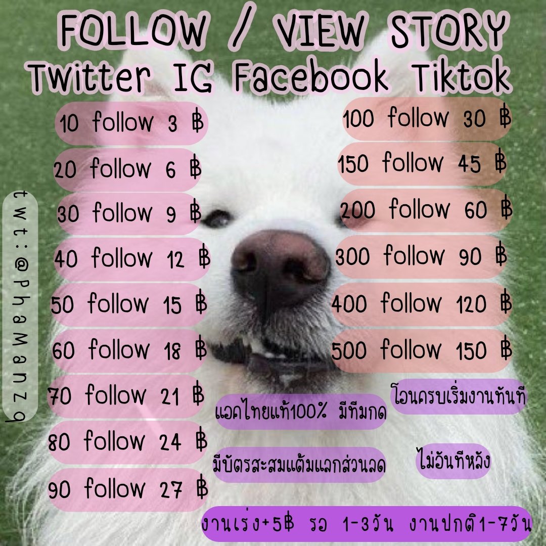 Jaokha🐶 tweet media