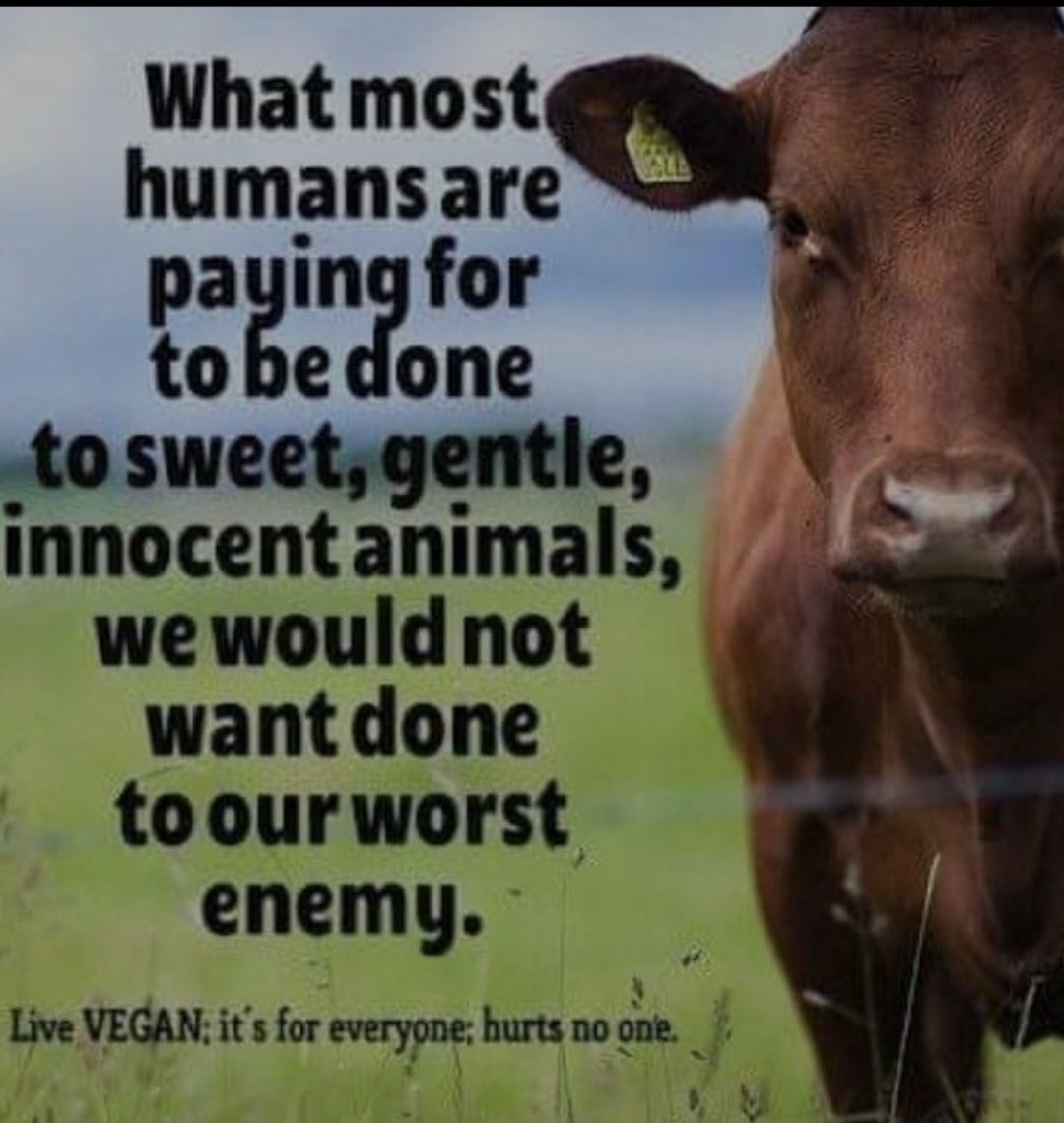#AnimalLover #AnimalRights #AnimalLiberation 
#Meat #MeatIndustry #EmpathyOverEgo #vegan