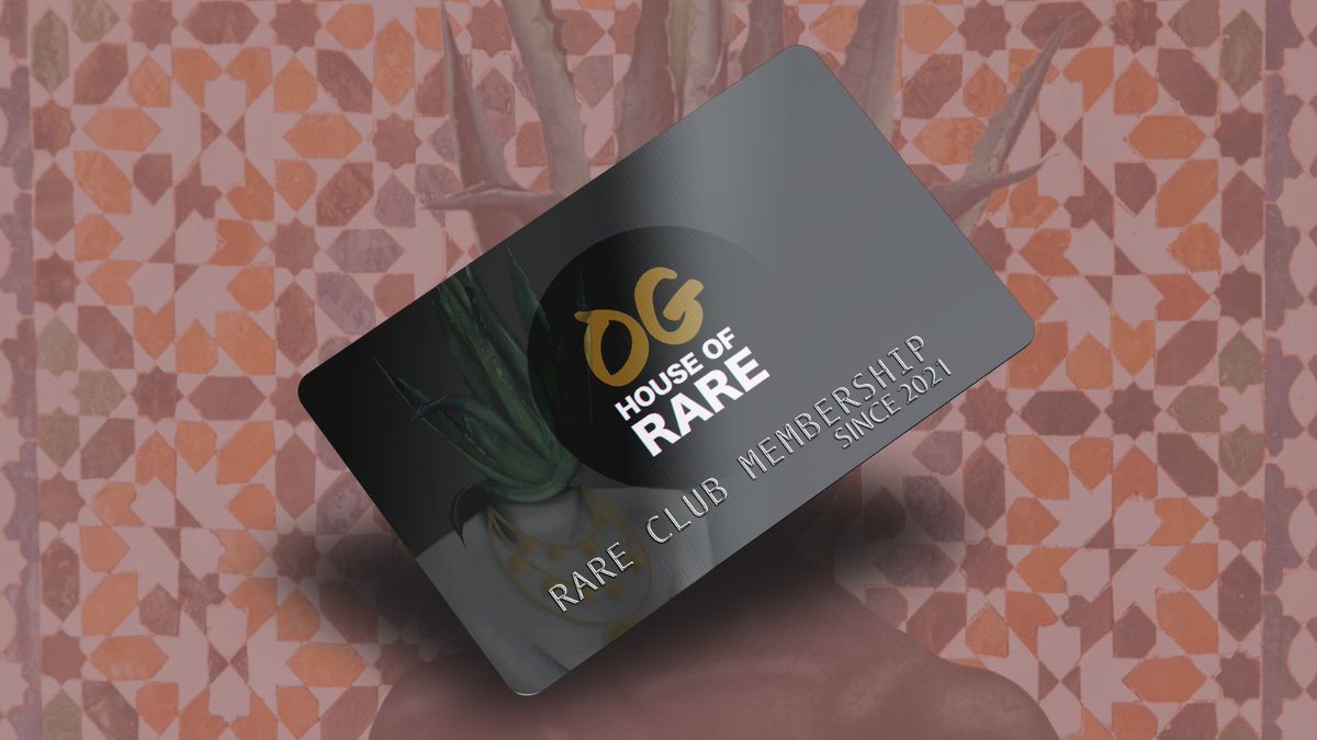 House of Rare NFTs (houseof_rare) Twitter