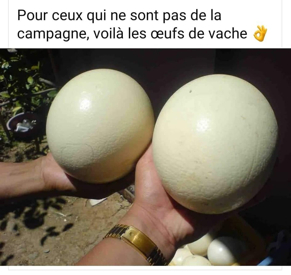 ComplotsFaciles's tweet photo. #NousSachons https://t.co/JG1al4R1kX