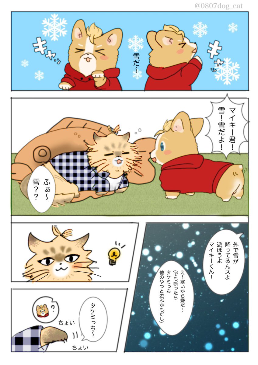 ゆっる〜いマイ武🐱🐶
雪降りましたね〜びっくりした〜❄️ 