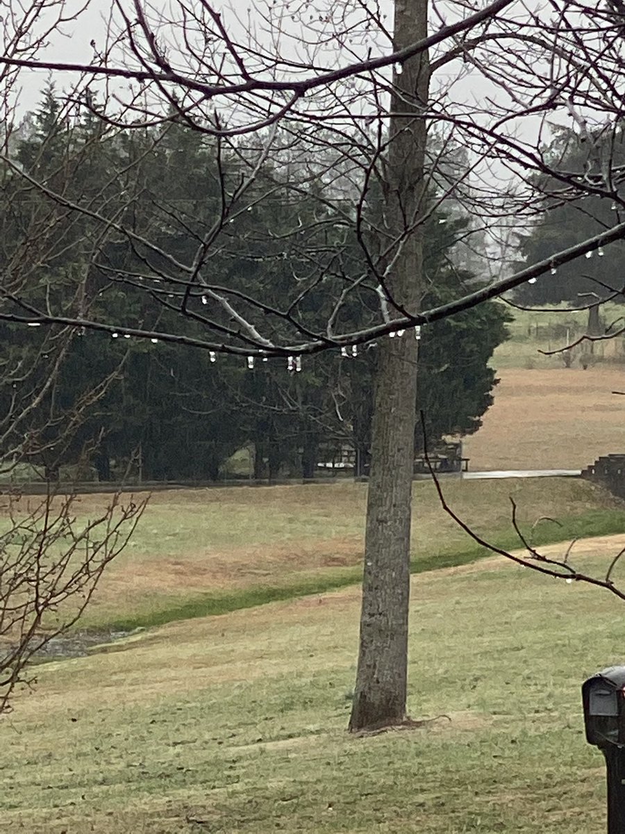 ebujesse's tweet photo. @WSMVDanThomas @CodyMurphyWx only freezing rain in Manchester https://t.co/1div7GNRca