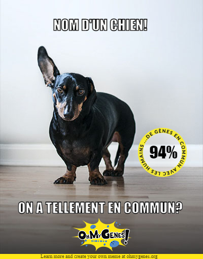 curious_sapiens's tweet photo. Vous aimez les chiens?

Sachez que les chiens ont 94% de gènes en commun avec les humains selon @OhMyGenes https://t.co/A7C9r0zCfs