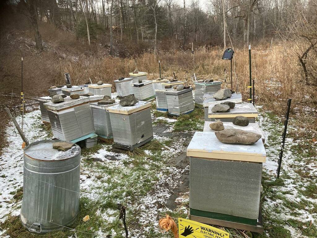 Winter is here but each one of these bee colonies is alive and staying warm inside their hive 
Waiting patiently for a warm day to fly outside 
#beekeeperslife #beeyard #winter #hives #honeybees #bees #honey #beekeeping #winterized #staywarm #snow #stays… instagr.am/p/CYZ8Ns9uLhy/
