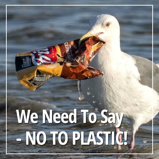 #DidYouKnow Plastic waste does not make it to the recycling area or even the landfill. Most plastic ends rivers and in the sea. 

Don't let our culture depends on single-use plastics.

Together we can achieve a plastic-free planet.