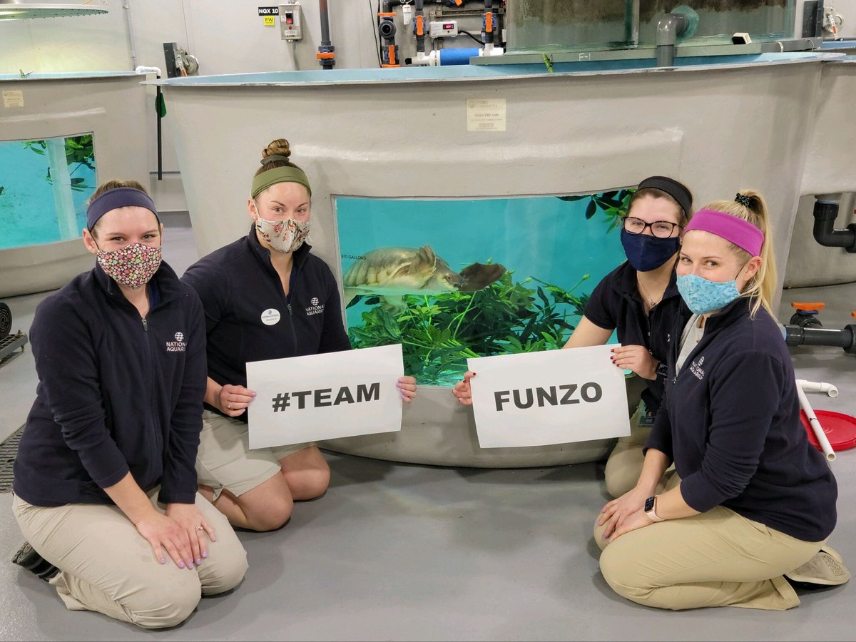 NatlAquarium's tweet photo. Funzo's OG care team is thrilled with all the support. #TeamFunzo https://t.co/7YDoEkTq47