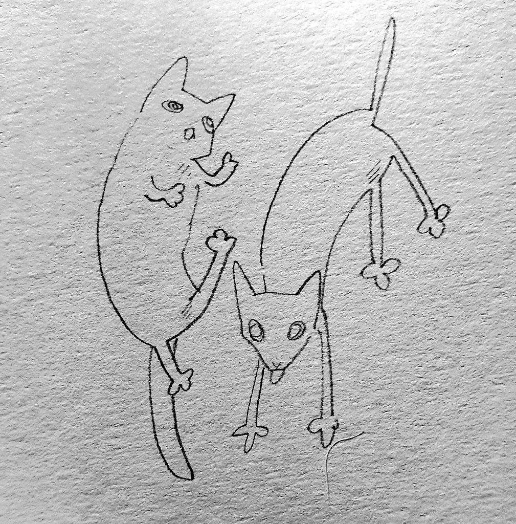 but that didn't stop me from drawing my cats for mark the other day 