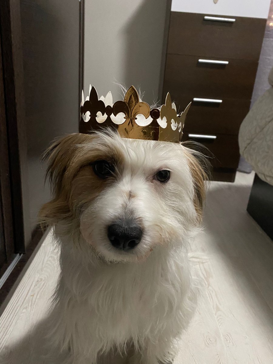 Y aquí está, una de las reinas de mi casa 👑
