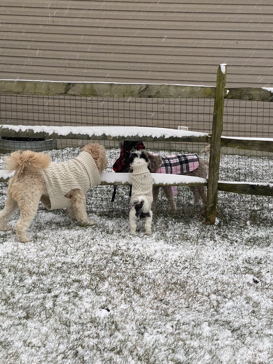 tlstephens12's tweet photo. 1st snow of 2022!!! #werereadytoplayinthesnow https://t.co/rPgRVuuCKB