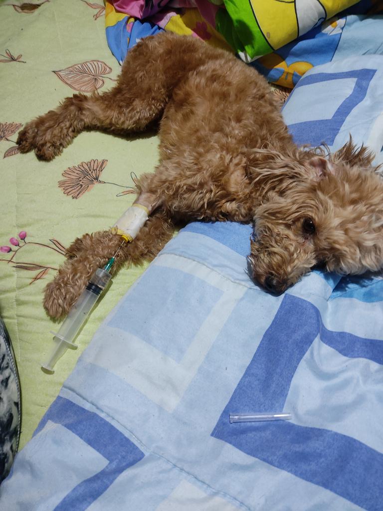 FRAENKEL ESCALANTE tweet media