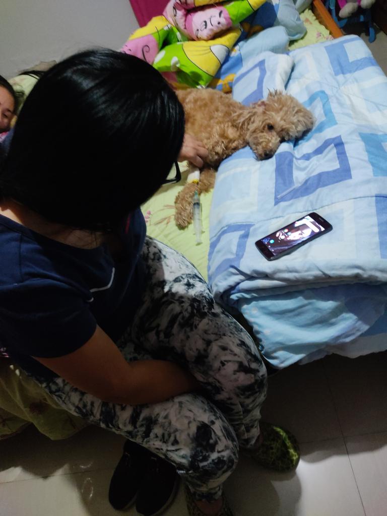 FRAENKEL ESCALANTE tweet media