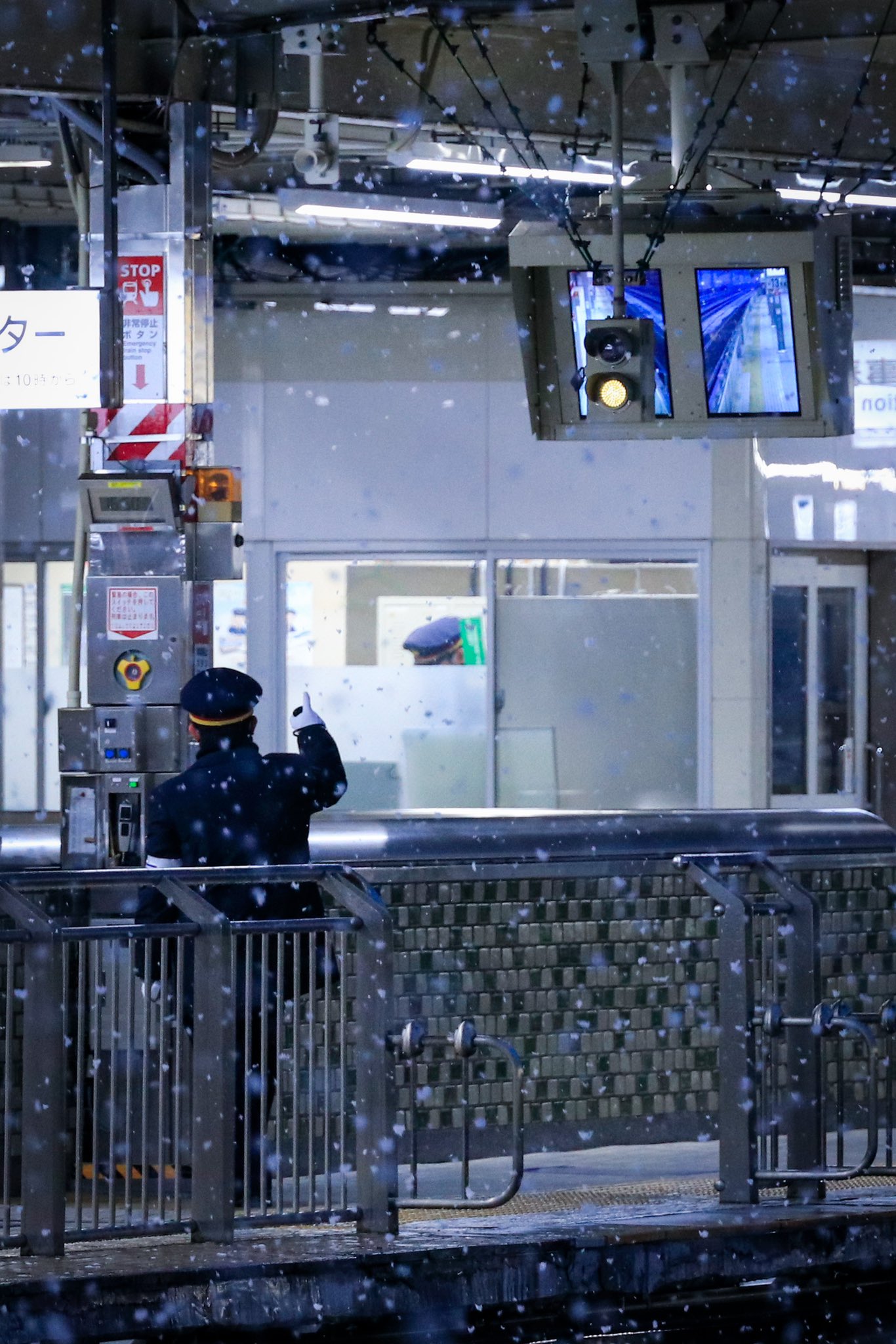 よこちゃん (@PhotoTaichi) / Twitter