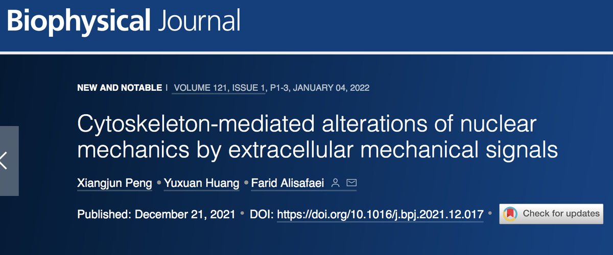 Soham Ghosh (@theghoshlab) on Twitter photo Nice to see the 'New and Notable' piece by <a href="/FaridAlisafaei/">Farid Alisafaei</a> and team in <a href="/BiophysJ/">Biophysical Journal</a> on our <a href="/theghoshlab/">Soham Ghosh</a> @NeuLabBoulder recently published paper on chondrocyte nuclear mechanics. Full text: cell.com/biophysj/fullt⦠Nice to see the 'New and Notable' piece by <a href="/FaridAlisafaei/">Farid Alisafaei</a> and team in <a href="/BiophysJ/">Biophysical Journal</a> on our <a href="/theghoshlab/">Soham Ghosh</a> @NeuLabBoulder recently published paper on chondrocyte nuclear mechanics. Full text: cell.com/biophysj/fulltā¦