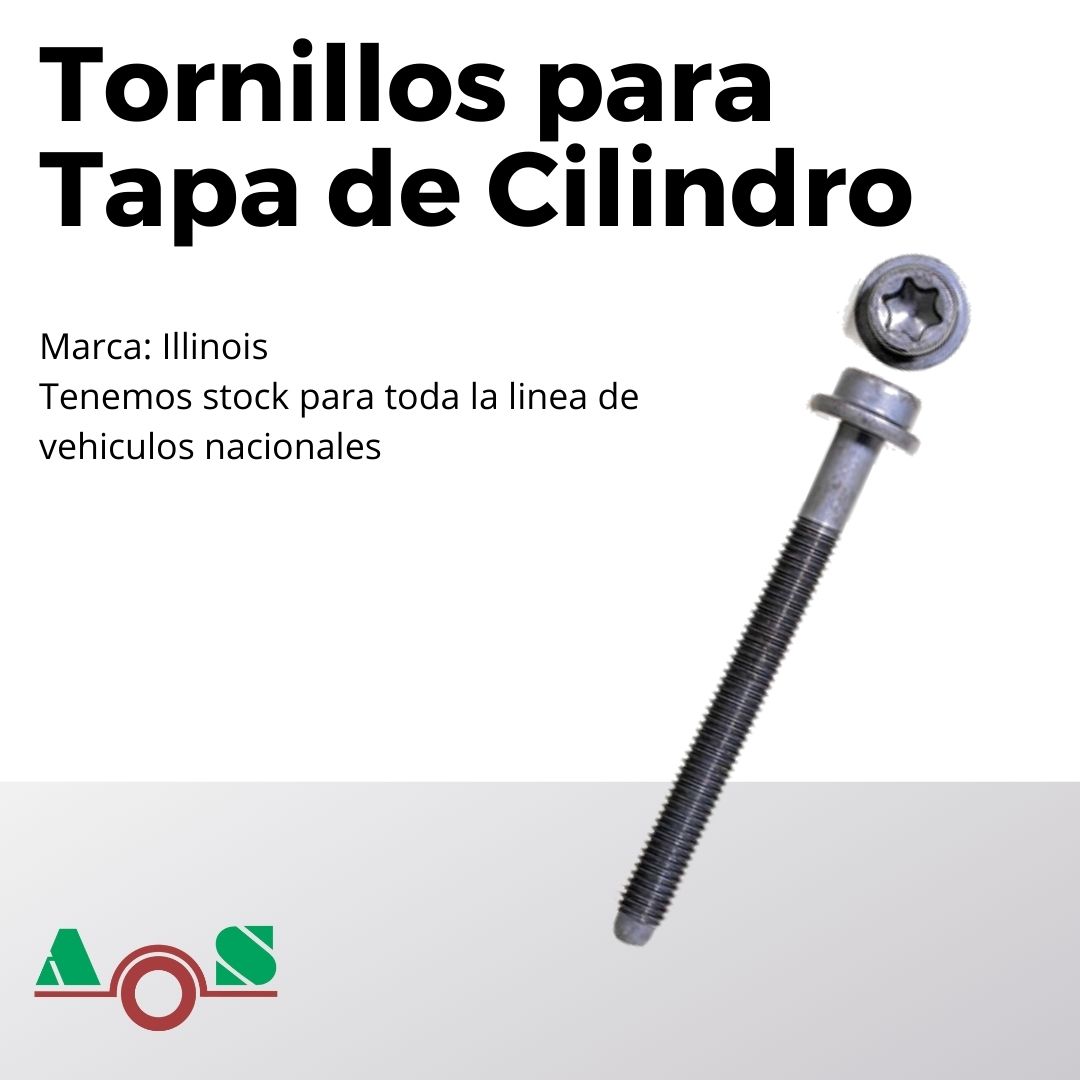 AutoSanabria's tweet photo. Tornillos para Tapa de Cilindro Illionis!

#autopartessanabria #illinois  #tornillos https://t.co/KQeKjQYbSa