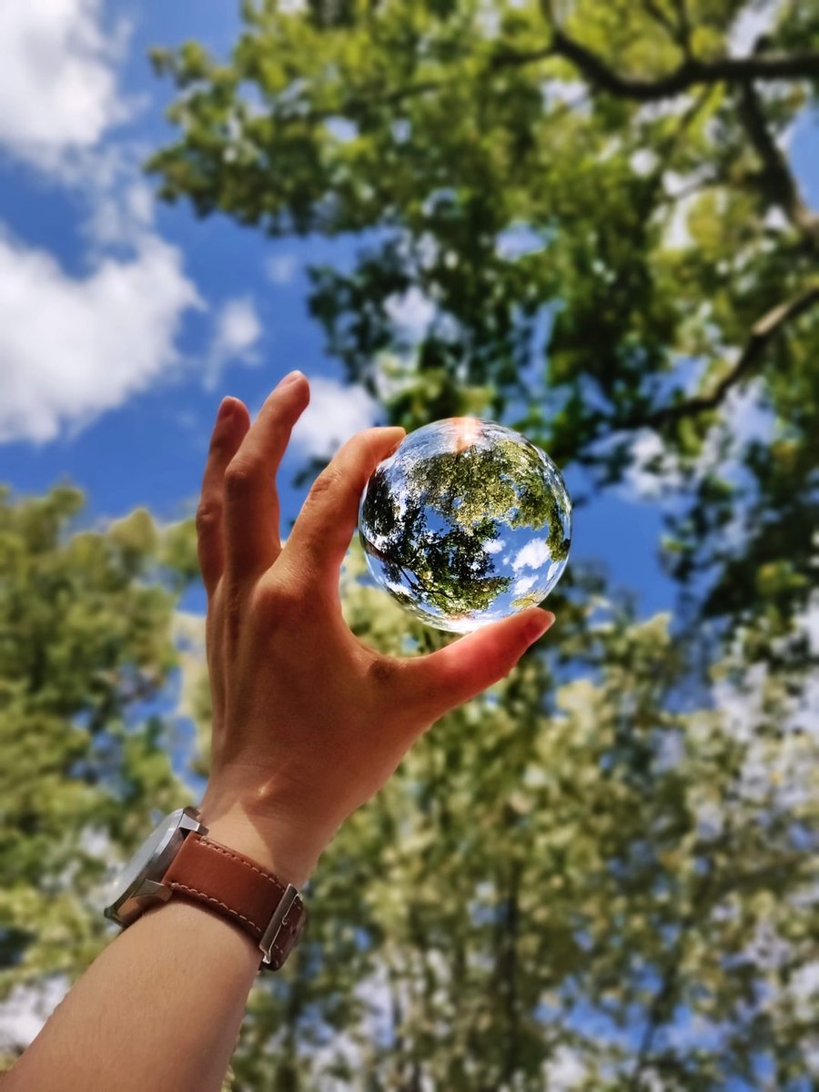 TranquiliTeaOrg's tweet photo. "Look deep into nature, and then you will understand everything better." --Albert Einstein https://t.co/Hql50fX0K7