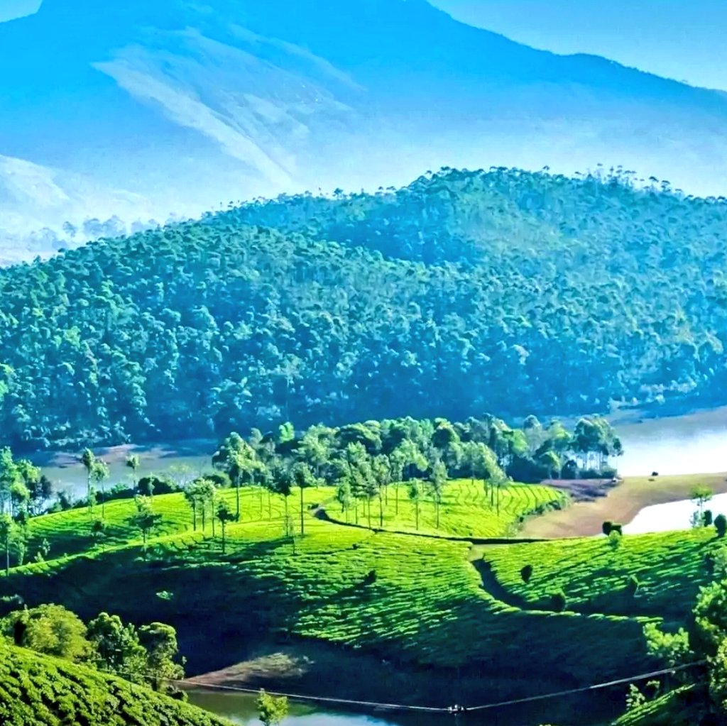 LoneSafeer2's tweet photo. It is too easy to loose self in beauty of nature, A journey to heaven. https://t.co/DlKEaF7lXw