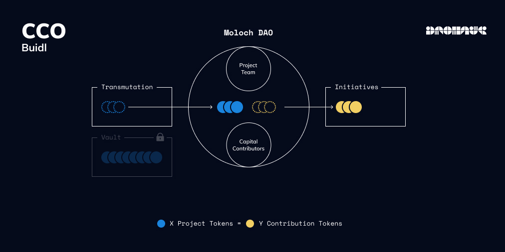 CCO Buidl (Phase 3) - transmutation in progress
