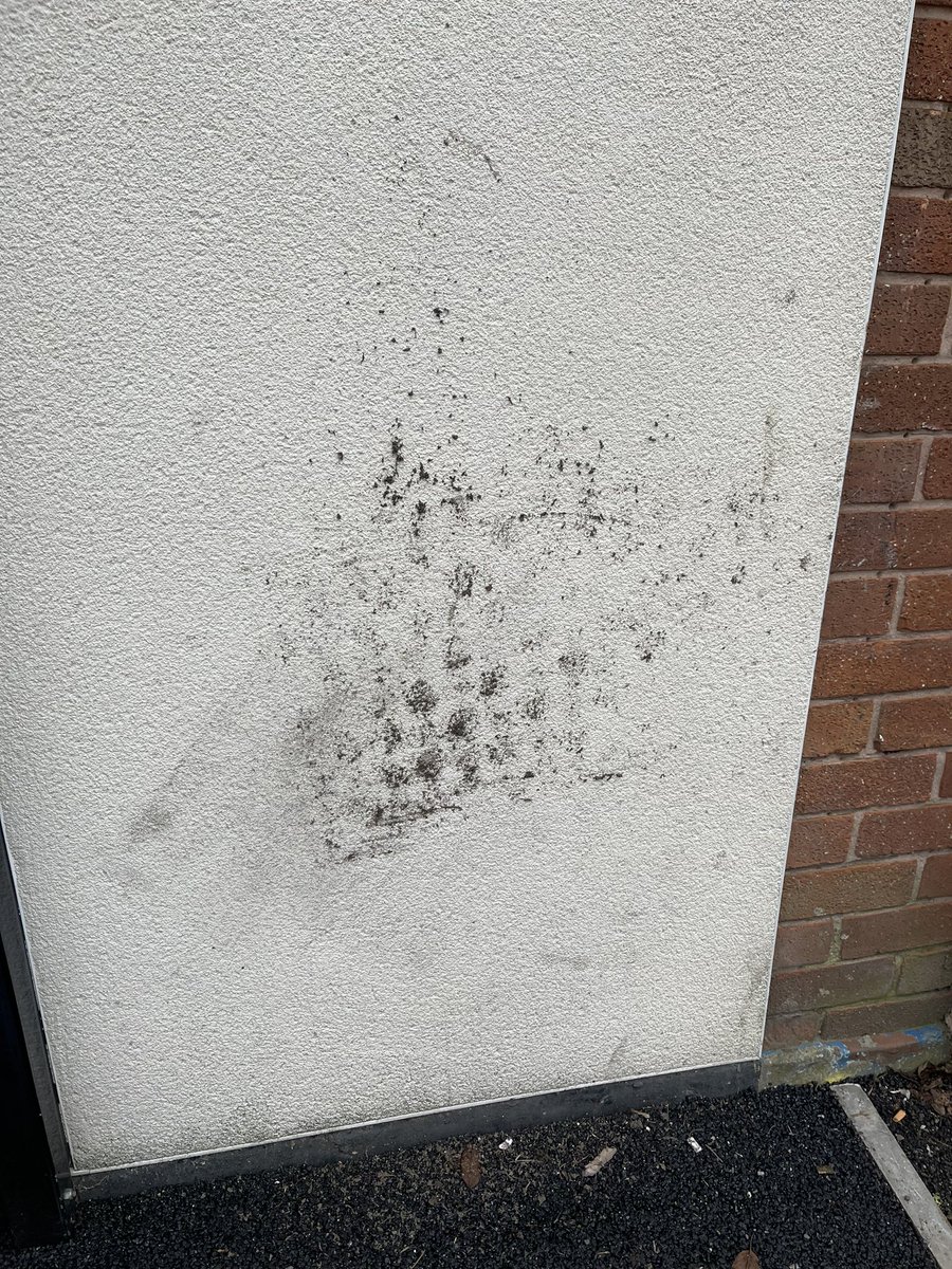 <a href="/costcutter/">Costcutter</a> is this your idea of standards, leaving rubbish and junk around neighbouring shops then cleaning the filthy doormat on my salon walls?…thought you’d like to know the bricked up door is the fire escape!