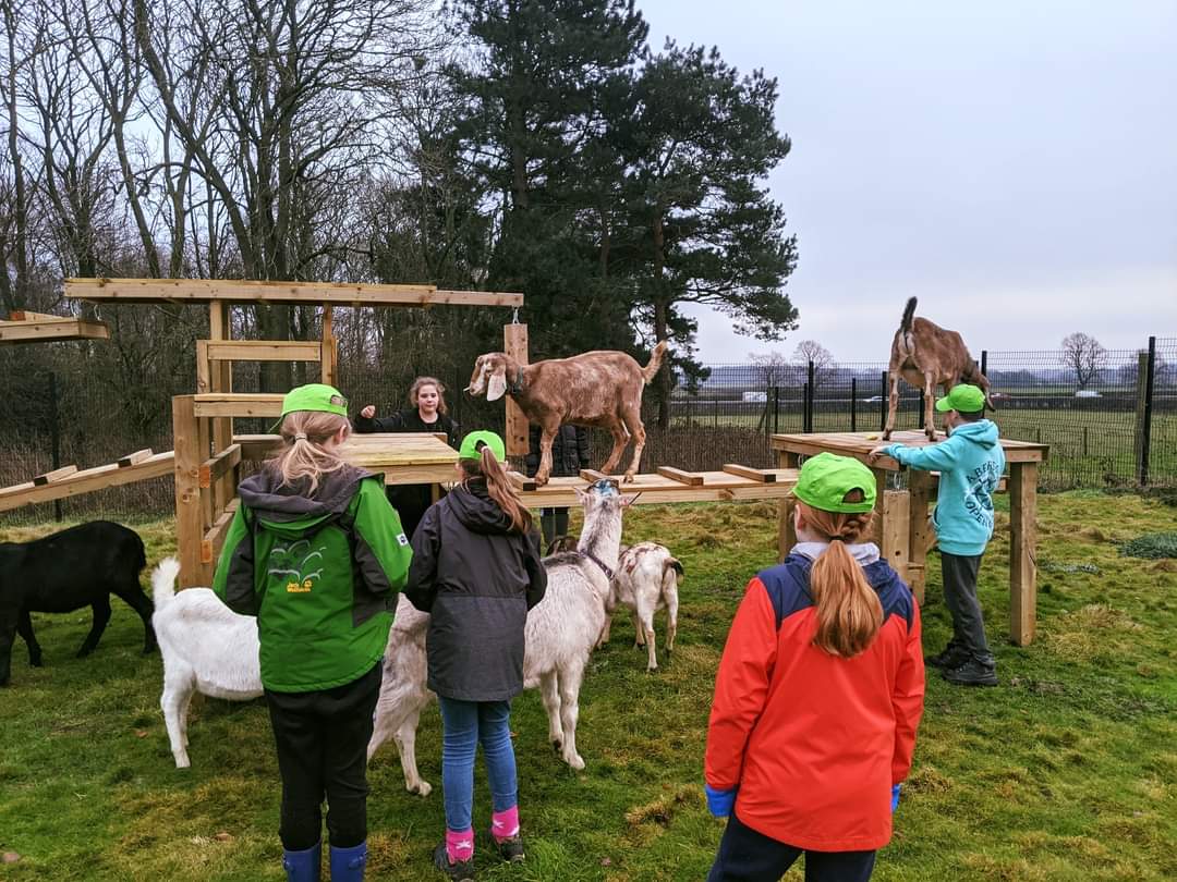 Our popular three day Wildlife Academy for 8-11 year old's and 12-15 year old's is back this February half-term!
We've also added a new flexible and affordable one day course focusing on mammals for 8-11's, 12-15's and 16-18 year old. 
For more information, check out our website!