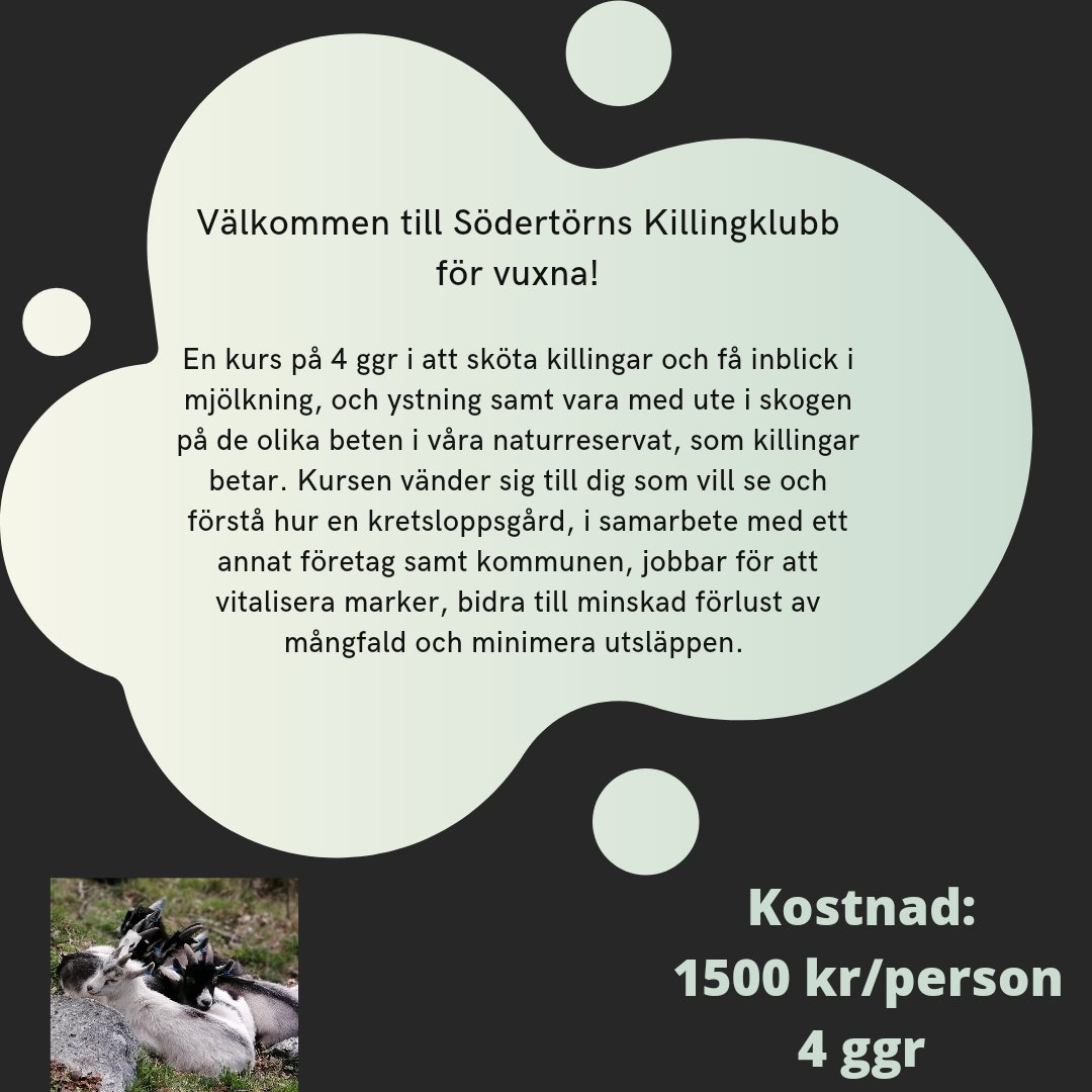 Klart vi ska ha en en vuxenklubb då. 😉
På efterfrågan så startar vi även en kurs för vuxna.
Skicka mail för mer information om hur allt går till. enogafood@gmail.com.
När: fredagar kl 16-18 start i slutet av mars. Sen 3 ggr till fram till slutet juni.
Företagskurs fixar vi med.