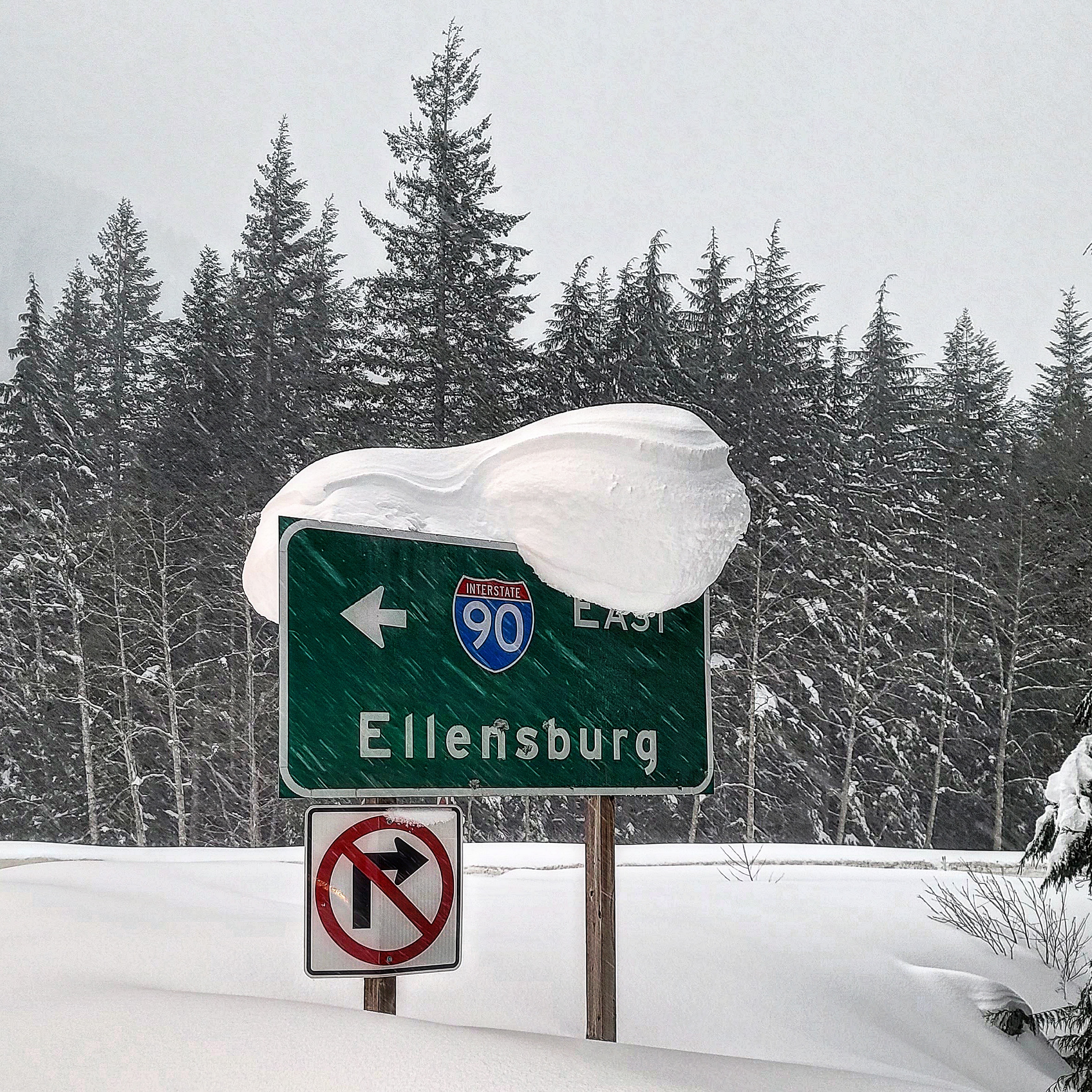 Large amount of snow accumulate on highway signs along I-90 Snoqualmie Pass.