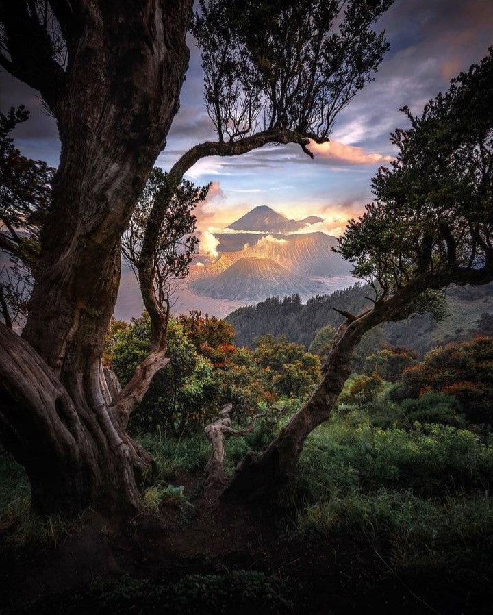 🌿N a t u r e   i s   L o v e💚