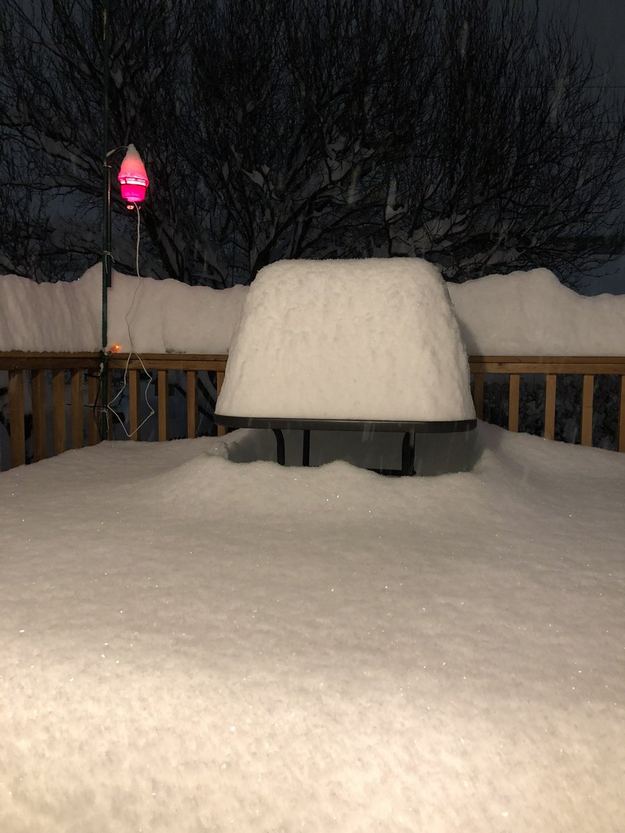 Claire Anderson tweet media