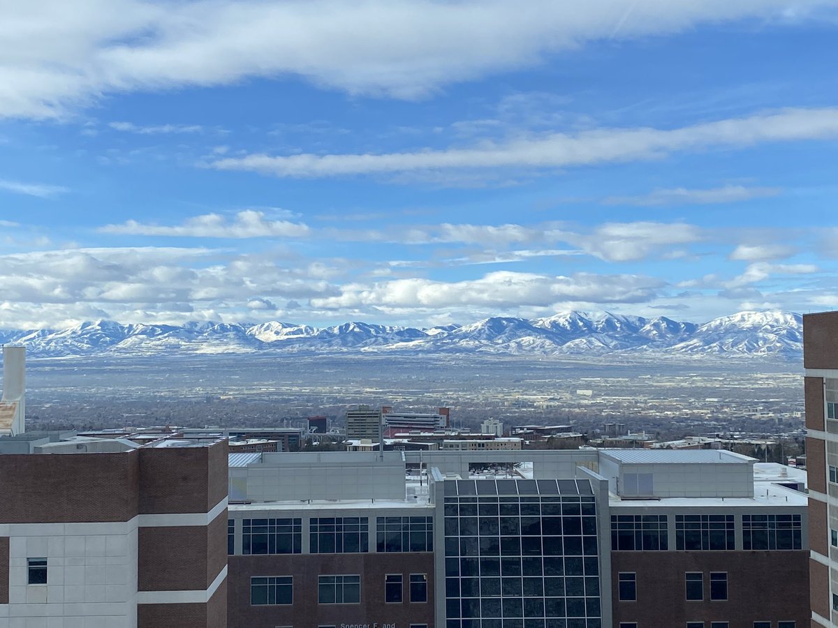 Aaron Leifer tweet media