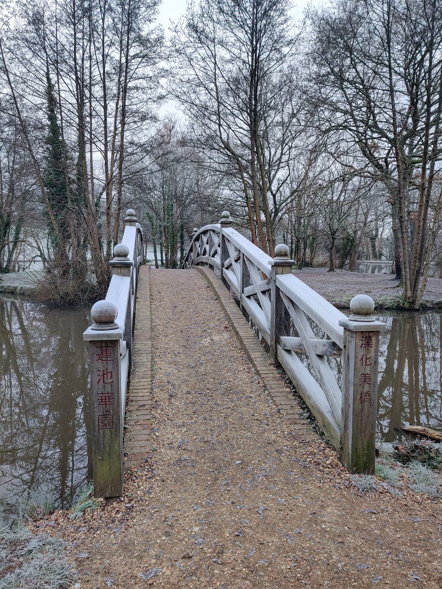 ChristinaDove7's tweet image. Lovely frosty run this morning.
❄️🏃‍♀️❄️
Happy Thursday all
#letsdothis
#MercerActive #ukrunchat #wellbeing