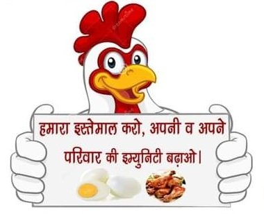 <a href="/pfbwfindia/">Poultry Farmers Broilers Welfare Federation</a> <a href="/PRupala/">Parshottam Rupala</a> <a href="/mansukhmandviya/">Dr Mansukh Mandaviya</a> <a href="/Min_FAHD/">Ministry of Fisheries, Animal Husbandry & Dairying</a> <a href="/PMOIndia/">PMO India</a> <a href="/MoHFW_INDIA/">Ministry of Health</a> <a href="/ICMRDELHI/">ICMR</a> <a href="/ICMRNIN/">ICMR - National Institute of Nutrition</a> <a href="/aajtak/">AajTak</a> <a href="/ndtvindia/">NDTV India</a> <a href="/bbchealth/">BBC Health News</a> <a href="/medanta/">Medanta</a> <a href="/aiims_newdelhi/">AIIMS, New Delhi 🇮🇳</a> <a href="/FoodFood/">FoodFood</a> <a href="/fssaiindia/">FSSAI</a> <a href="/thePHFI/">Public Health Foundation of India (PHFI)</a> <a href="/PIB_India/">PIB India</a> <a href="/mygovindia/">MyGovIndia</a> <a href="/Dept_of_AHD/">Dept of Animal Husbandry & Dairying, Min of FAH&D</a> <a href="/CMOfficeUP/">CM Office, GoUP</a> <a href="/UPGovt/">Government of UP</a> #इम्युनिटी_मतलब_चिकन_अंडे
#सबसे_सस्ता_प्रोटीन_चिकन_अंडे
#संडे_होया_मंडे_रोज_खाओ_चिकन_अंडे
#चिकन_अंडे_ऑन_ओमिक्रोन_गोन
#Unit2FightCorona