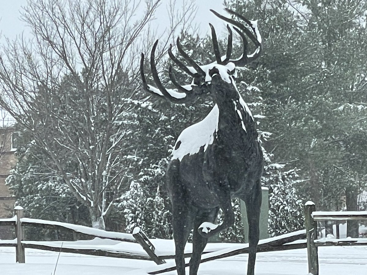 Nelson Andrews tweet media