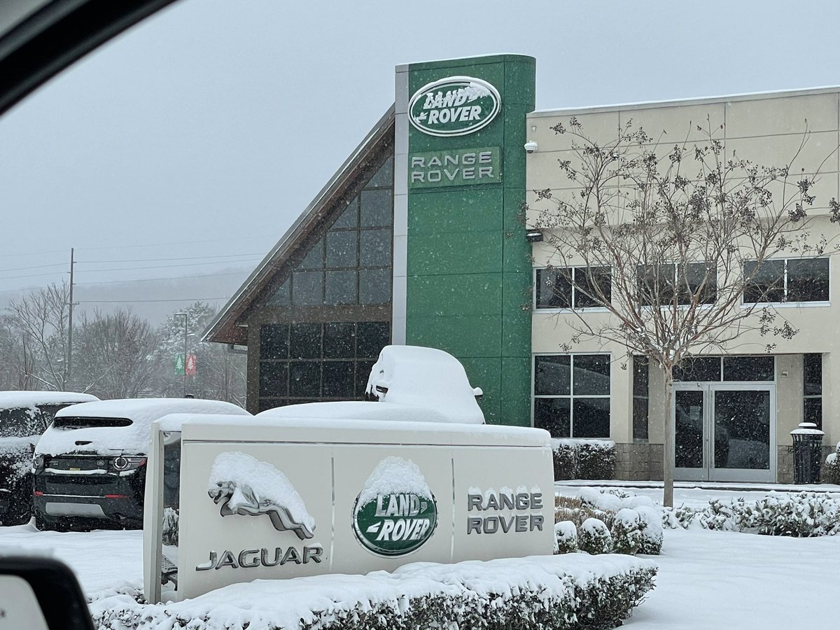 Nelson Andrews tweet media